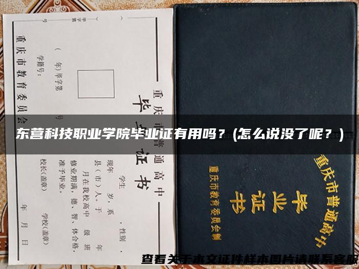 东营科技职业学院毕业证有用吗？(怎么说没了呢？)