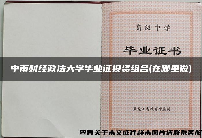 中南财经政法大学毕业证投资组合(在哪里做)