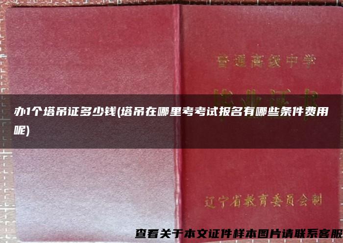 办1个塔吊证多少钱(塔吊在哪里考考试报名有哪些条件费用呢)