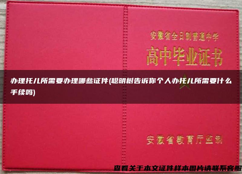 办理托儿所需要办理哪些证件(聪明树告诉你个人办托儿所需要什么手续吗)