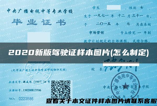 2020新版驾驶证样本图片(怎么制定)