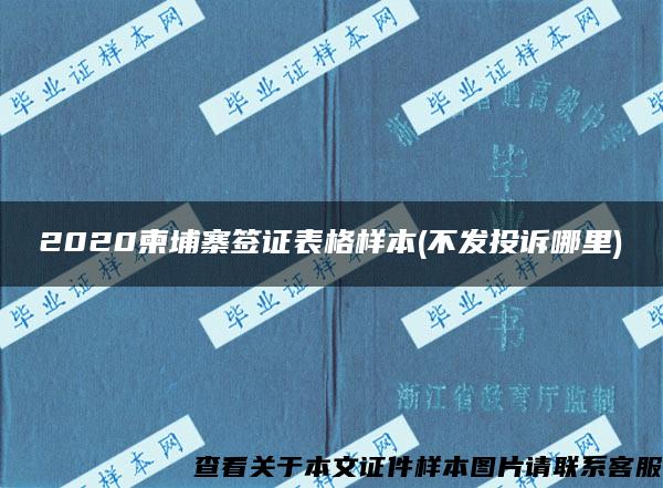 2020柬埔寨签证表格样本(不发投诉哪里)