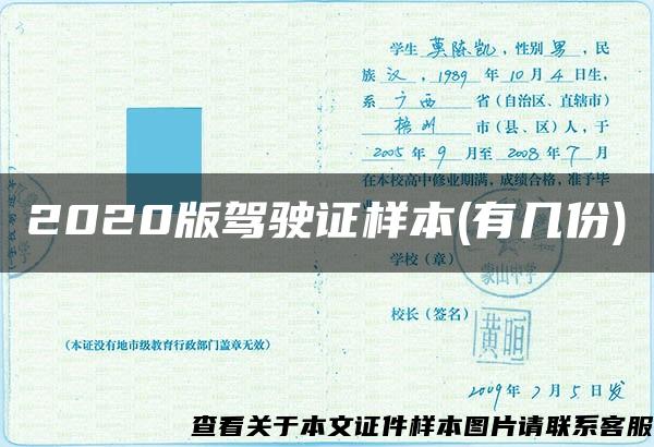 2020版驾驶证样本(有几份)