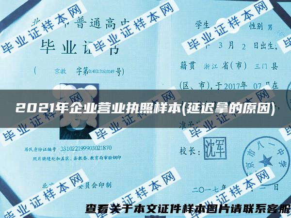 2021年企业营业执照样本(延迟拿的原因)