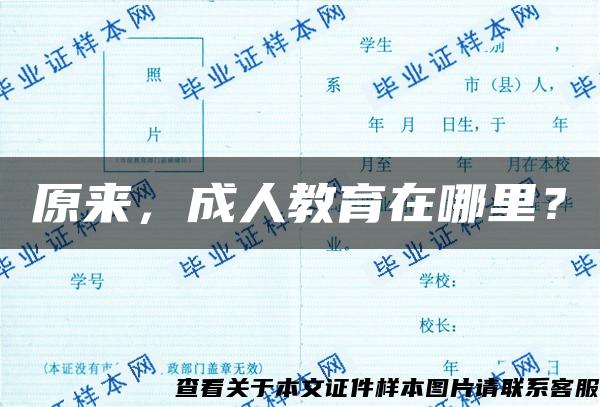 原来，成人教育在哪里？