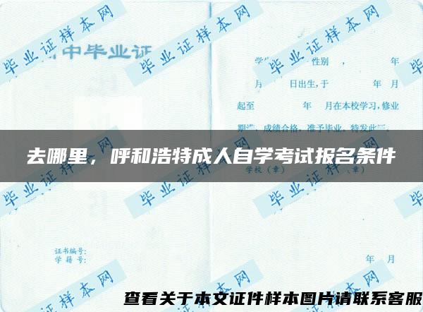 去哪里，呼和浩特成人自学考试报名条件