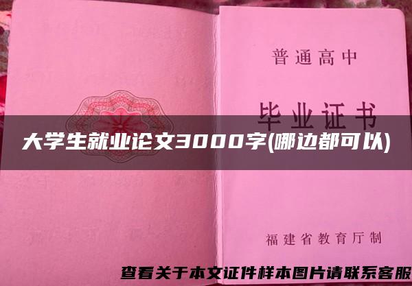 大学生就业论文3000字(哪边都可以)