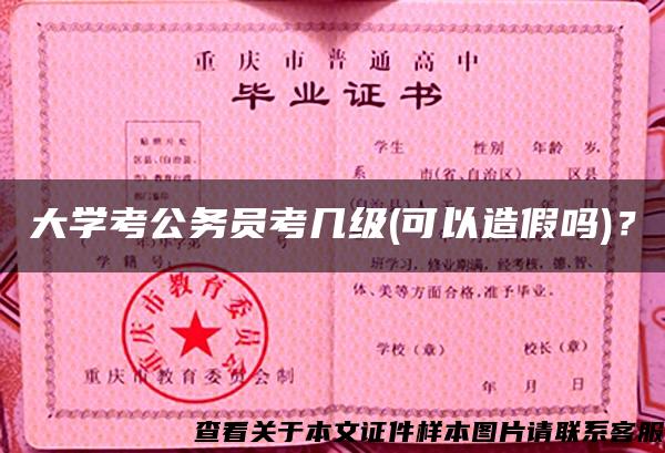 大学考公务员考几级(可以造假吗)？