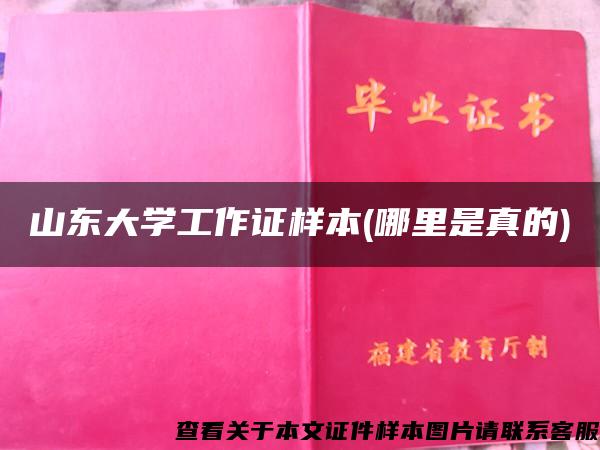 山东大学工作证样本(哪里是真的)