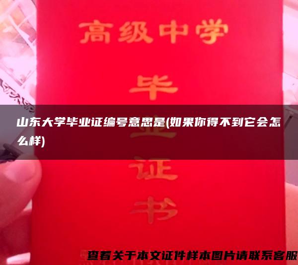 山东大学毕业证编号意思是(如果你得不到它会怎么样)