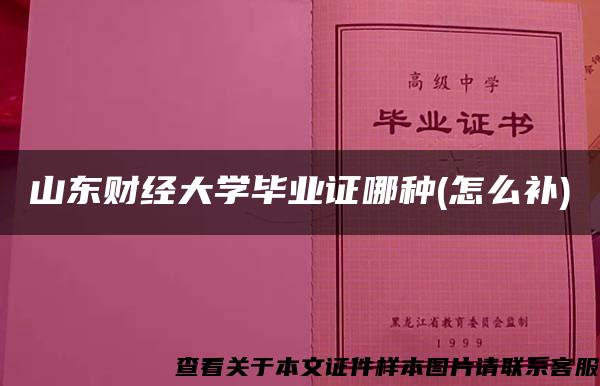 山东财经大学毕业证哪种(怎么补)