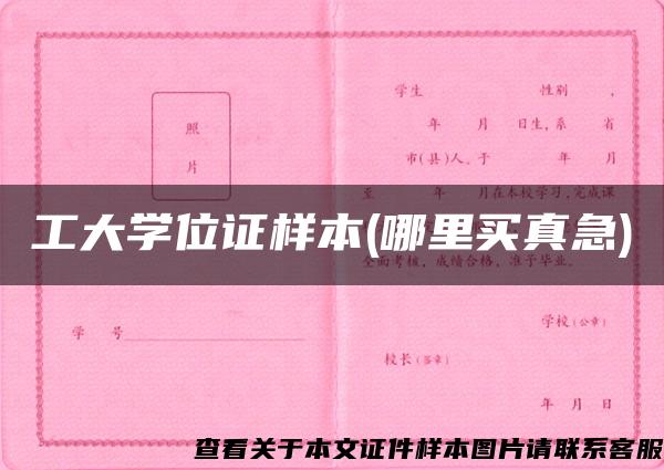 工大学位证样本(哪里买真急)