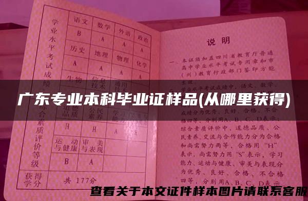 广东专业本科毕业证样品(从哪里获得)