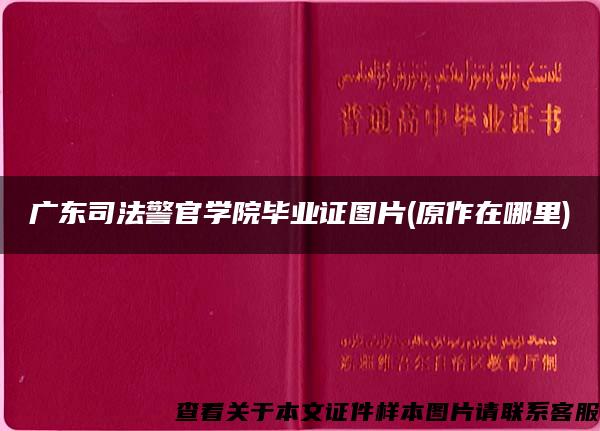 广东司法警官学院毕业证图片(原作在哪里)