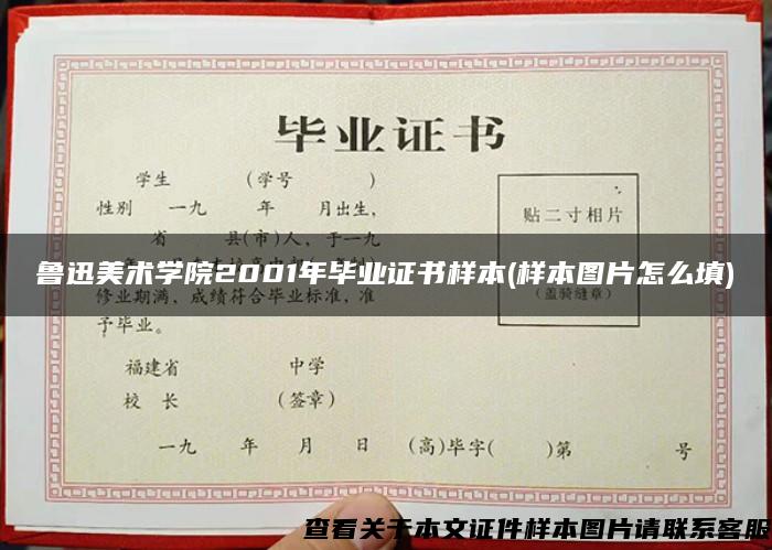 鲁迅美术学院2001年毕业证书样本(样本图片怎么填)