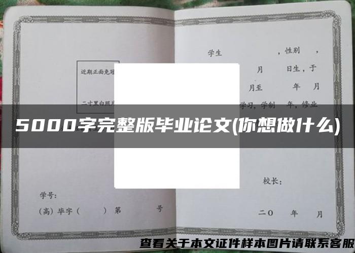 5000字完整版毕业论文(你想做什么)