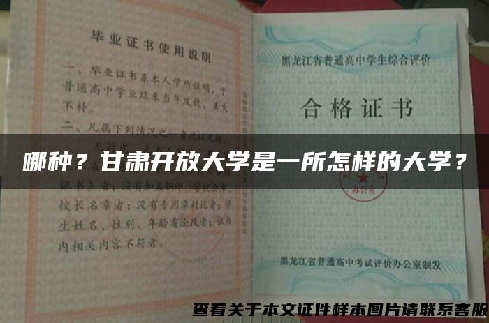 哪种？甘肃开放大学是一所怎样的大学？