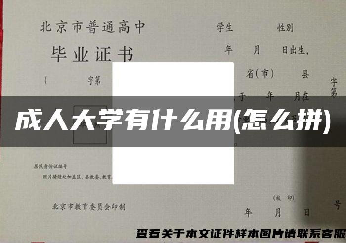 成人大学有什么用(怎么拼)