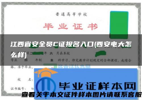 江西省安全员C证报名入口(西安电大怎么样)