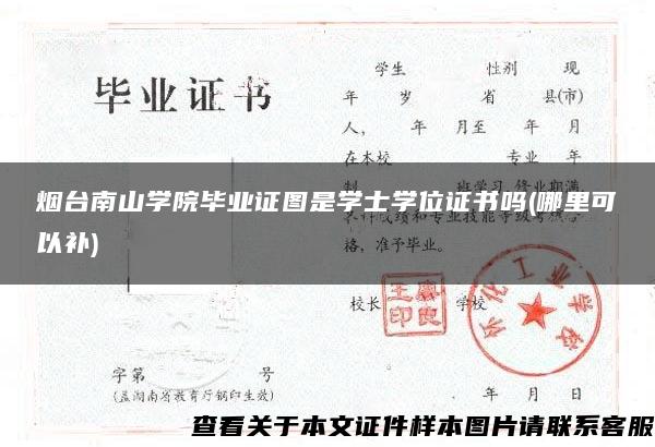 烟台南山学院毕业证图是学士学位证书吗(哪里可以补)