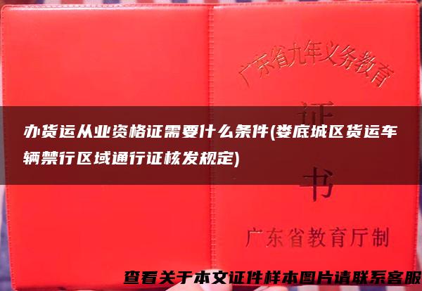 办货运从业资格证需要什么条件(娄底城区货运车辆禁行区域通行证核发规定)