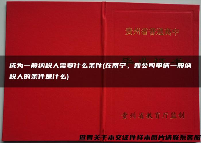 成为一般纳税人需要什么条件(在南宁，新公司申请一般纳税人的条件是什么)