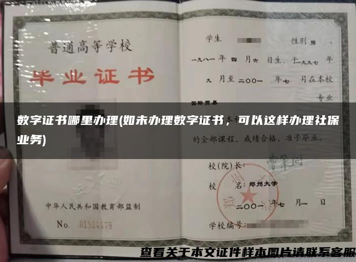 数字证书哪里办理(如未办理数字证书，可以这样办理社保业务)