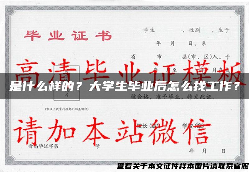 是什么样的？大学生毕业后怎么找工作？