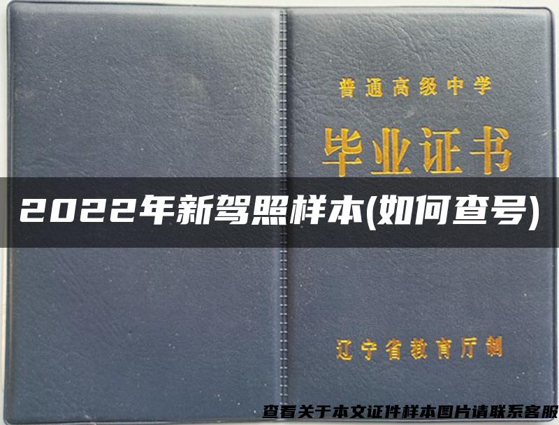 2022年新驾照样本(如何查号)