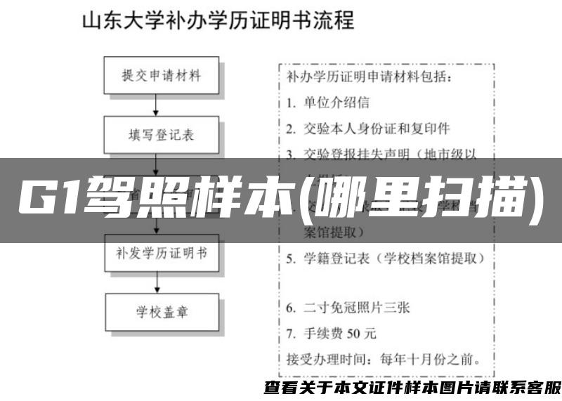 G1驾照样本(哪里扫描)