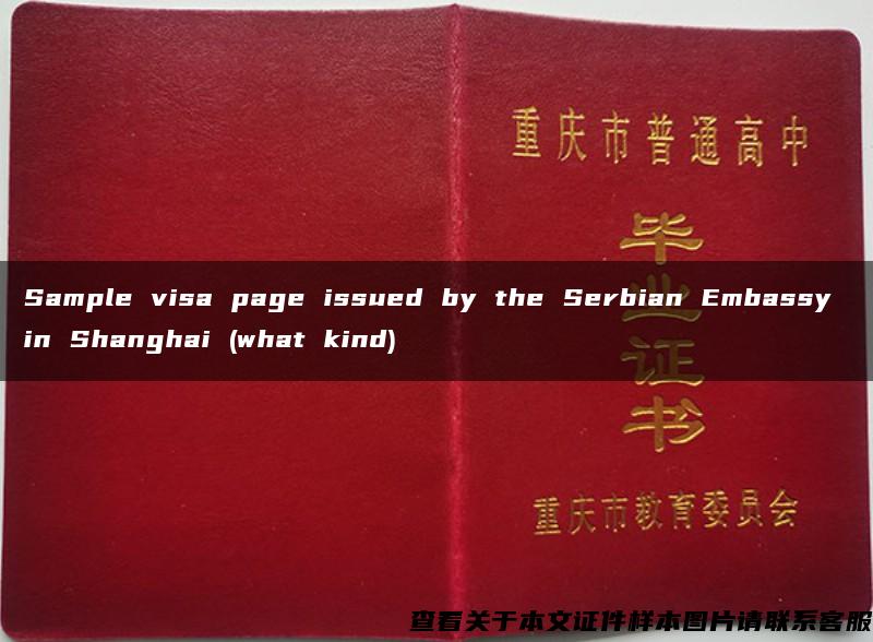 Sample visa page issued by the Serbian Embassy in Shanghai (what kind)