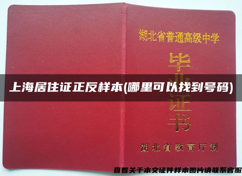 上海居住证正反样本(哪里可以找到号码)