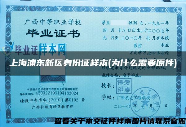 上海浦东新区身份证样本(为什么需要原件)