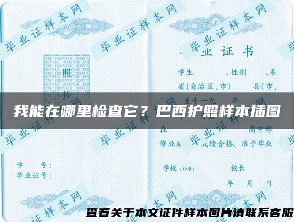 我能在哪里检查它？巴西护照样本插图