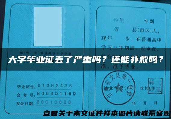 大学毕业证丢了严重吗？还能补救吗？