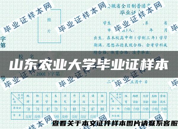 山东农业大学毕业证样本