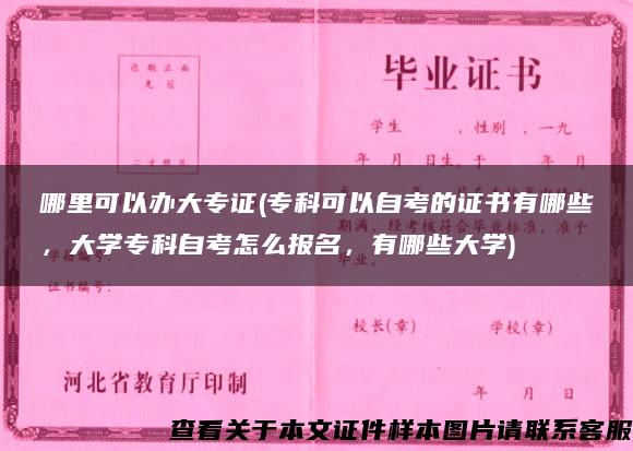 哪里可以办大专证(专科可以自考的证书有哪些，大学专科自考怎么报名，有哪些大学)