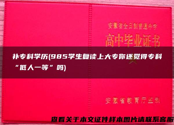 补专科学历(985学生复读上大专你还觉得专科“低人一等”吗)