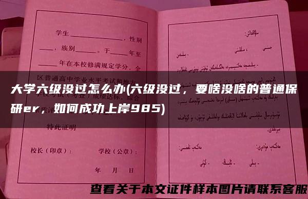 大学六级没过怎么办(六级没过，要啥没啥的普通保研er，如何成功上岸985)