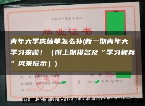 青年大学成绩单怎么补(新一期青年大学习来啦！（附上期排名及“学习标兵”风采展示）)