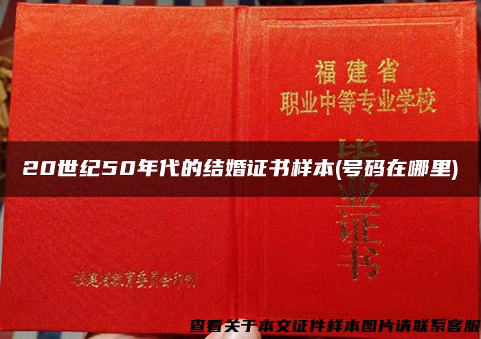 20世纪50年代的结婚证书样本(号码在哪里)