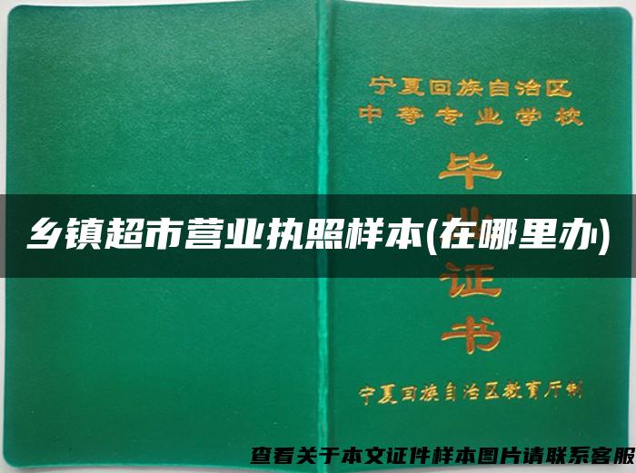 乡镇超市营业执照样本(在哪里办)