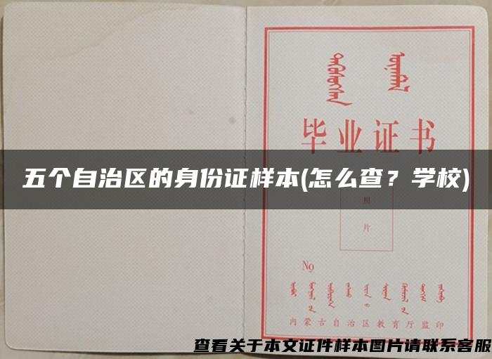 五个自治区的身份证样本(怎么查？学校)