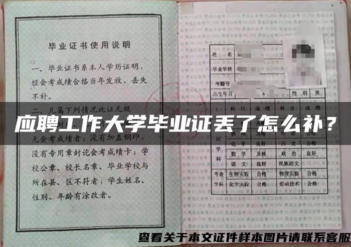 应聘工作大学毕业证丢了怎么补？