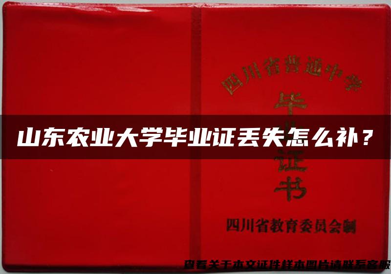 山东农业大学毕业证丢失怎么补？