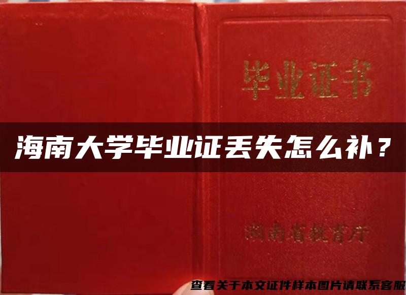 海南大学毕业证丢失怎么补？