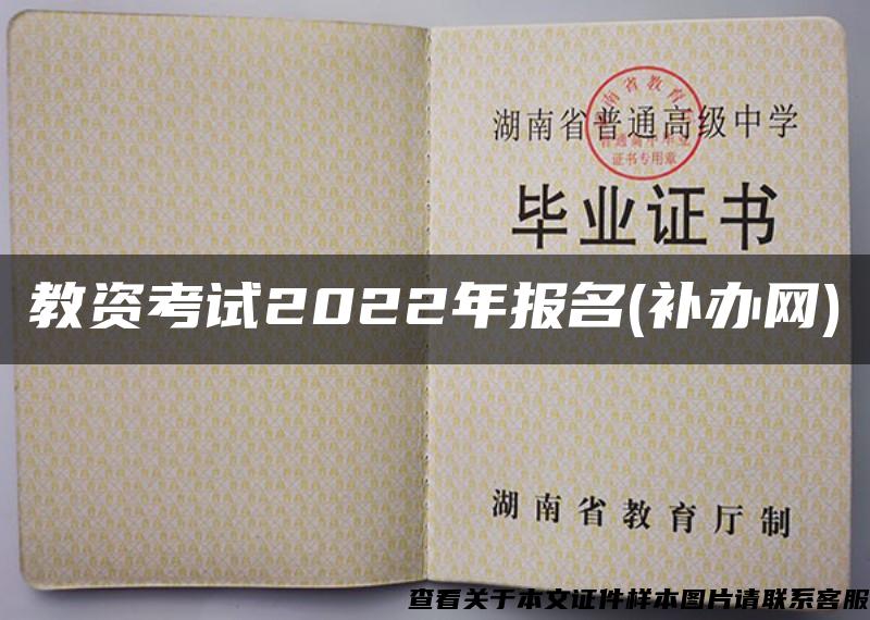 教资考试2022年报名(补办网)