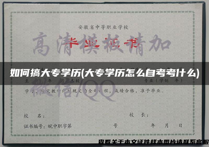 如何搞大专学历(大专学历怎么自考考什么)