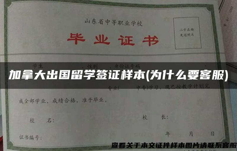 加拿大出国留学签证样本(为什么要客服)