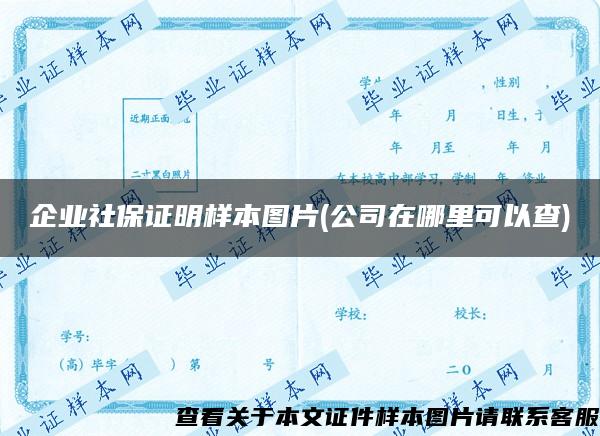 企业社保证明样本图片(公司在哪里可以查)